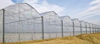 Lucchini Spa Multi-Atlantic Evoluzione Greenhouse Structures – 5 Units (Never Used)