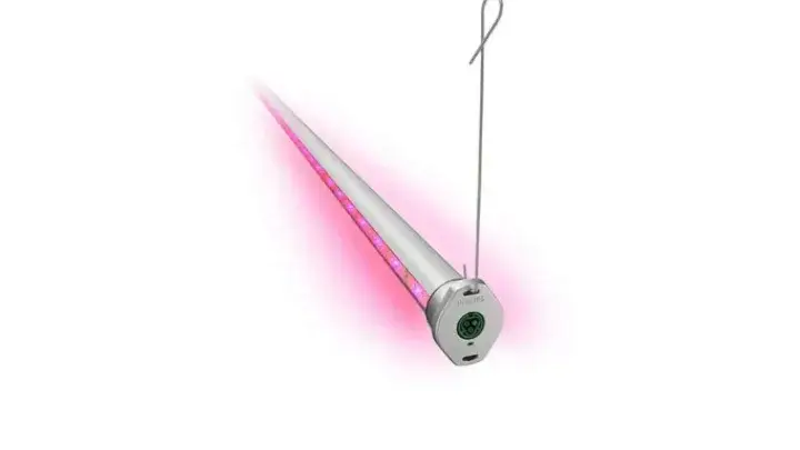 GreenPower LED Interlights 5000 Unit Bulk Lot