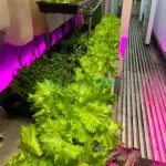 Freight Farm Hydroponic Container for Greens