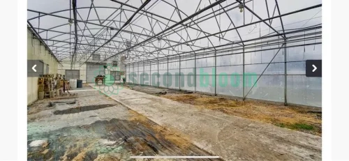 Two Greenhouses in Serene Dayton Countryside