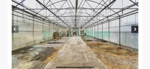 Two Greenhouses in Serene Dayton Countryside