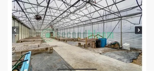 Two Greenhouses in Serene Dayton Countryside