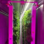 Freight Farm Hydroponic Container for Greens