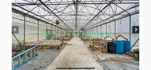 Two Greenhouses in Serene Dayton Countryside