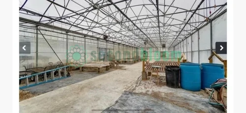 Two Greenhouses in Serene Dayton Countryside