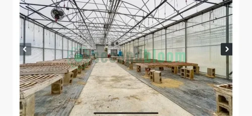 Two Greenhouses in Serene Dayton Countryside