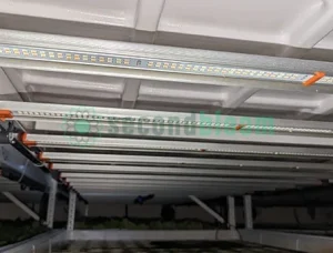 Fluence Spyder 2x LED grow light kit with high-intensity, full-spectrum LEDs, dimmable controls, and energy-efficient design for commercial and home indoor gardens, showcasing power cord, driver, and hangers for a space-saving cultivation setup.