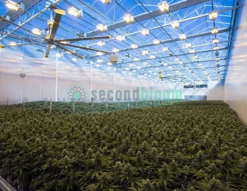 6.88-Acre GLASS VENLO Greenhouse, Never Assembled - Located in New York - Image 23