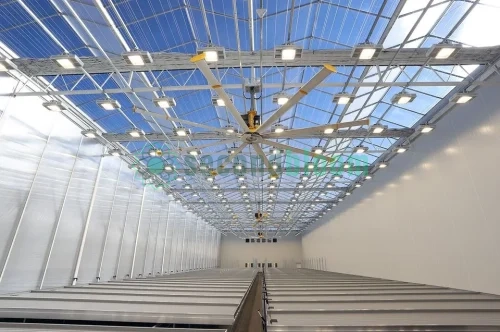 6.88-Acre GLASS VENLO Greenhouse, Never Assembled - Located in New York - Image 22