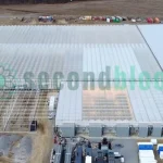 6.88-Acre GLASS VENLO Greenhouse, Never Assembled - Located in New York - Image 20