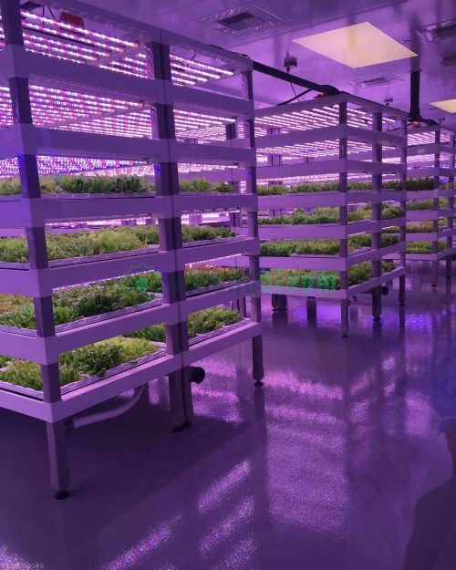 Various Views of Oasis Biotech Sananbio Vertical Farm Unit and Equipment