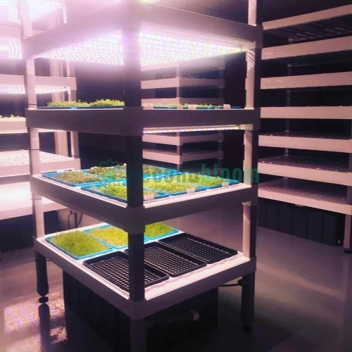 Various Views of Oasis Biotech Sananbio Vertical Farm Unit and Equipment