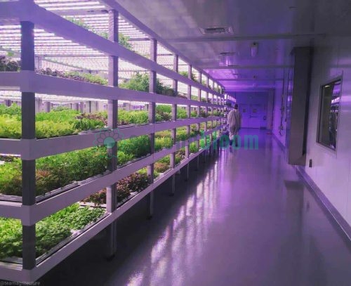 Various Views of Oasis Biotech Sananbio Vertical Farm Unit and Equipment