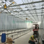 6.88-Acre GLASS VENLO Greenhouse, Never Assembled - Located in New York - Image 16