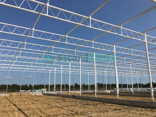 6.88-Acre GLASS VENLO Greenhouse, Never Assembled - Located in New York - Image 6