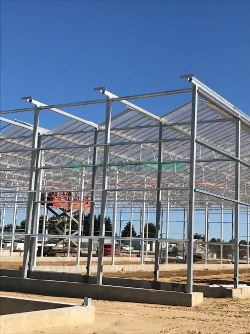 6.88-Acre GLASS VENLO Greenhouse, Never Assembled - Located in New York - Image 7