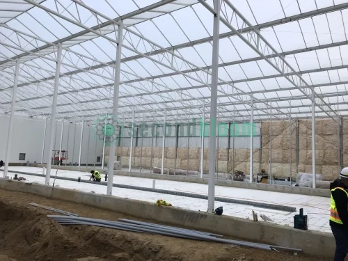 6.88-Acre GLASS VENLO Greenhouse, Never Assembled - Located in New York - Image 32