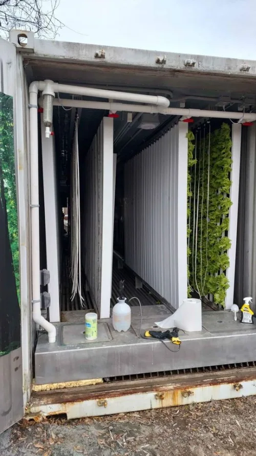 A green shipping container converted into a hydroponic farming unit, with LED lights visible through the open doors, showcasing the interior growing space filled with lush, green plants.