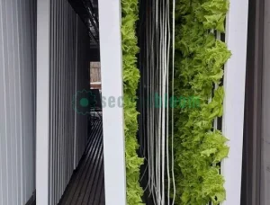 A green shipping container converted into a hydroponic farming unit, with LED lights visible through the open doors, showcasing the interior growing space filled with lush, green plants.