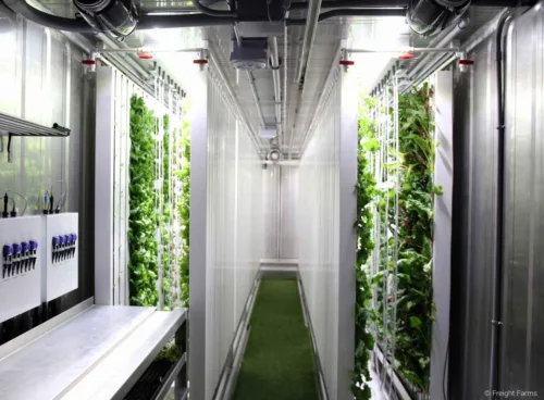 A green shipping container converted into a hydroponic farming unit, with LED lights visible through the open doors, showcasing the interior growing space filled with lush, green plants.