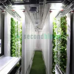 A green shipping container converted into a hydroponic farming unit, with LED lights visible through the open doors, showcasing the interior growing space filled with lush, green plants.