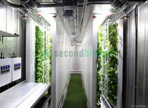 A green shipping container converted into a hydroponic farming unit, with LED lights visible through the open doors, showcasing the interior growing space filled with lush, green plants.