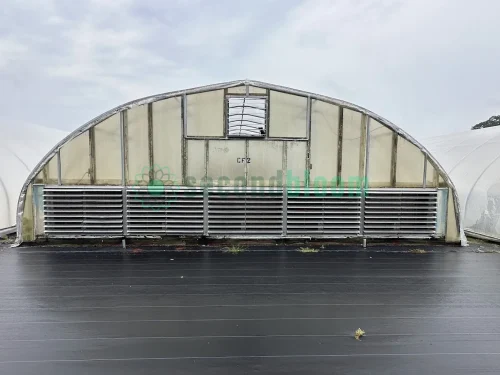 Exterior view of the vent end of the X.S. Smith Quonset Cold Frame greenhouse labeled CF02 at White's Greenhouse Auction on SecondBloom Auctions platform, featuring essential vent equipment.