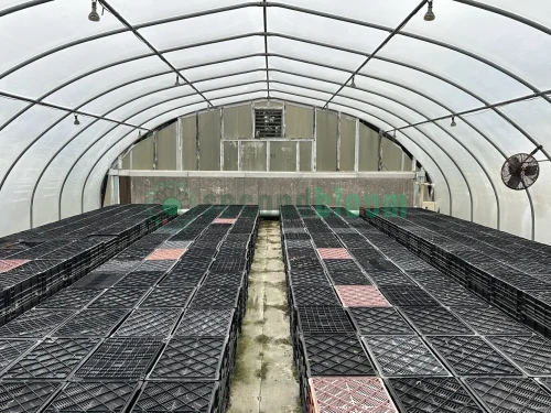 Interior view of the vent end of the X.S. Smith Quonset Cold Frame greenhouse labeled CF02 at White's Greenhouse Auction on SecondBloom Auctions platform, featuring essential vent equipment.