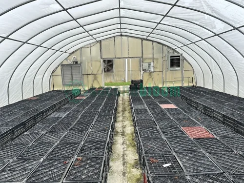 Interior view of the fan and heater end of the X.S. Smith Quonset Cold Frame greenhouse