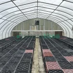 Exterior view of the vent end of the X.S. Smith Quonset Cold Frame greenhouse