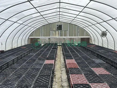 Exterior view of the vent end of the X.S. Smith Quonset Cold Frame greenhouse