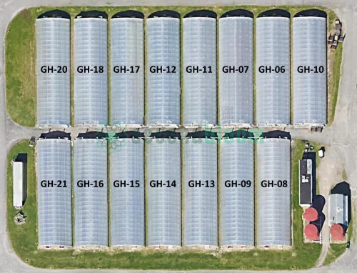 Top-down view of X.S. Smith Quonset greenhouses labeled for auction lots at White's Greenhouse Auction on the SecondBloom Auctions platform.