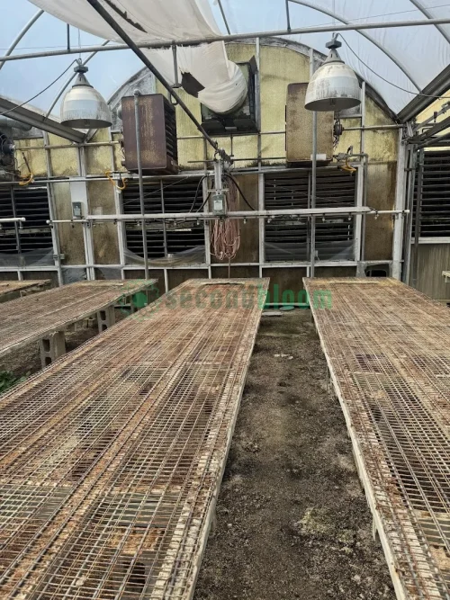 17' Double Rail Watering Boom System with Greenhouse Technology Inc. Boom System Controller and Cherry Creek Systems Network Irrigation Controller in GH22 Starting Area Bay 6 at SecondBloom Auctions.