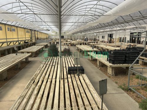 Full view of garden center greenhouse benches from White's Nursery, showcasing their sturdy construction and optimal layout for plant display.