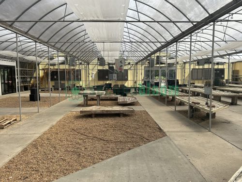 Lengthwise view of the greenhouse bays from White's Nursery, showcasing the entire internal structure.