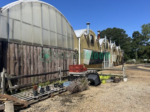 WHITE'S AUCTION LOT 316 - All Greenhouse Bays of Garden Center - Image 15