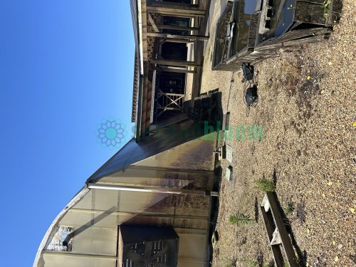 Exterior side view of the greenhouse, illustrating its robust construction and design.
