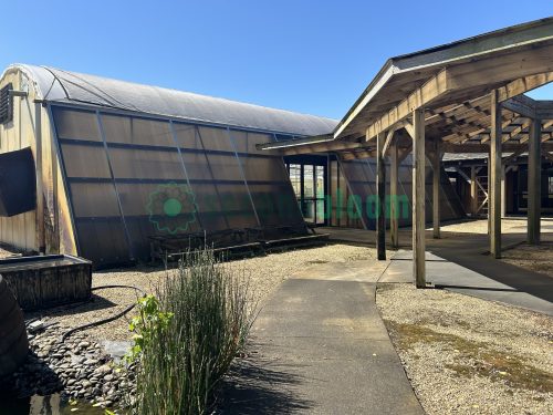 WHITE'S AUCTION LOT 316 - All Greenhouse Bays of Garden Center - Image 10