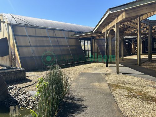 WHITE'S AUCTION LOT 316 - All Greenhouse Bays of Garden Center - Image 9