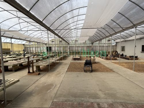 Lengthwise view of the greenhouse bays from White's Nursery, showcasing the entire internal structure.