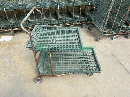 WHITE'S AUCTION LOT 325 - Auction Lot of 33 Used Two-Level Nursery Shopping Carts - Image 7