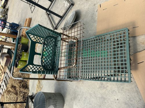 Front view of a used two-level nursery shopping cart with green hard plastic shelves featuring square holes.
