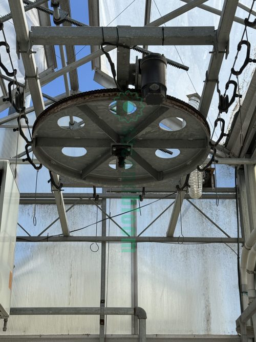 End view of Cherry Creek Echo hanging basket lines inside a greenhouse, available for auction at Secondbloom Auctions.