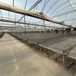 WHITE'S AUCTION LOT 202 - Bays 1-5 of Greenhouse #24 - 20,160 sq. ft. Greenhouse with Double-Poly Roof - Image 5