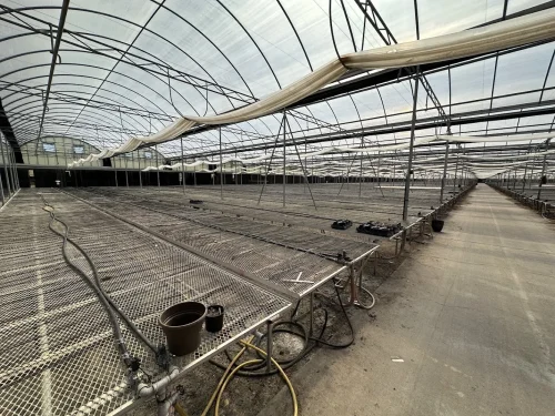 WHITE'S AUCTION LOT 202 - Bays 1-5 of Greenhouse #24 - 20,160 sq. ft. Greenhouse with Double-Poly Roof - Image 4