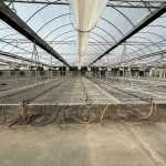 WHITE'S AUCTION LOT 202 - Bays 1-5 of Greenhouse #24 - 20,160 sq. ft. Greenhouse with Double-Poly Roof - Image 3