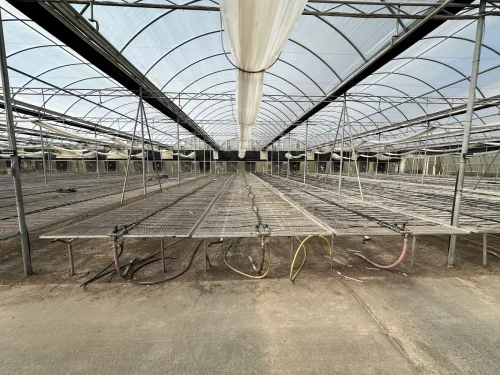 WHITE'S AUCTION LOT 202 - Bays 1-5 of Greenhouse #24 - 20,160 sq. ft. Greenhouse with Double-Poly Roof - Image 3