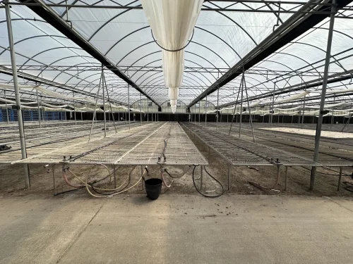 WHITE'S AUCTION LOT 202 - Bays 1-5 of Greenhouse #24 - 20,160 sq. ft. Greenhouse with Double-Poly Roof - Image 2