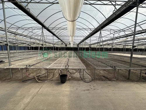Expanded metal bench in Greenhouse 24, pad side view.