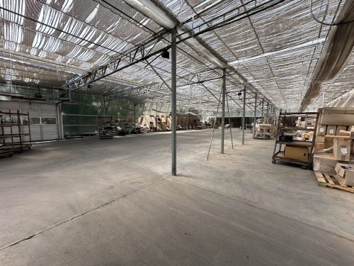 WHITE'S AUCTION LOT 449 - Packing Area Greenhouse #25 - 8,064 sq. ft. - Image 5